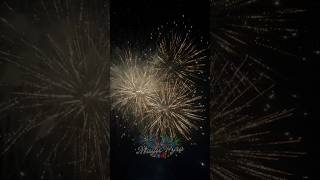 FLAME OF LEIRA pure brocade crown foryou fireworks themagician viral [upl. by Norrat]