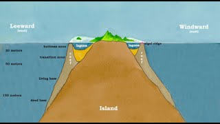 52 What is a Coral Atoll Darwins Hypothesis on the Origin of Coral Island Atolls [upl. by Gilson523]