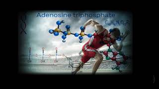 ATP Adenosine TriPhosphate  Binaural Performance Enhancer Increased Power Strength Speed [upl. by Rahman]