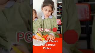 Pre school activities The Smart school bilal campus piplan [upl. by Watt360]