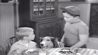 Lassie  Beholden  Lassie Full Episodes  Videos For Kids  Kids Movies [upl. by Aihsein]