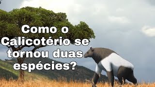 A Evolução Paralela no Chalicotherium Calicotério AULA 07 [upl. by Nenad357]