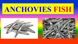 ANCHOVIES FISH  நெத்திலி மீன்  HEALTH BENEFITS AND NUTRITION FACTS [upl. by Oruam330]