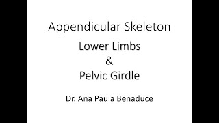 Dr Benaduce Lower Appendicular Skeleton  Complete Lecture [upl. by Radmilla104]