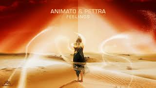 Animato amp Pettra  Feelings [upl. by Sumner]