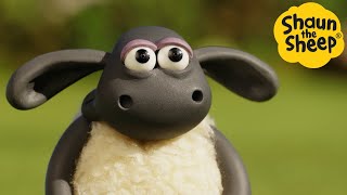 Shaun the Sheep 🐑 TIMMY TIME RIGHT NOW  Cartoons for Kids 🐑 Full Episodes Compilation 1 hour [upl. by Aynotel870]