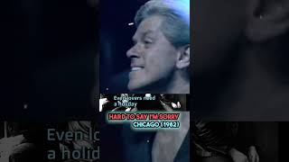 Hard To Say Im Sorry Chicago 1982 karaokeurban [upl. by Wolliw]