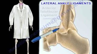 Ankle Ligaments Anatomy  Everything You Need To Know  Dr Nabil Ebraheim [upl. by Ytisahcal914]