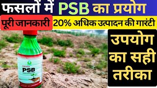 PSB fertilizer  phosphate Solubilizing bacteriaPSB use in hindi  PSB bacteria ko use kese kren [upl. by Nileuqaj]