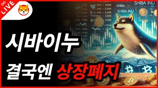 시바이누  결국엔 상장폐지 시바이누 시바이누코인전망 시바이누코인 [upl. by Alastair185]