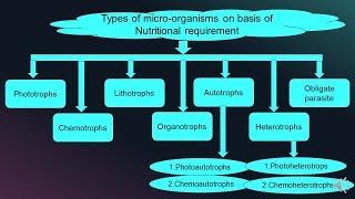 Cultivation of Microorganism  Types of Microorganisms on Basis of Nutritional requirement [upl. by Onirefez]