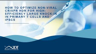 How to optimize nonviral CRISPR HDR for highefficiency large knockin in primary T cells and iPSCs [upl. by Onitram]