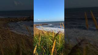 Grötvik Halmstad beach waves summer relaxing travel sweden shorts beautifuldestinations [upl. by Nennek977]