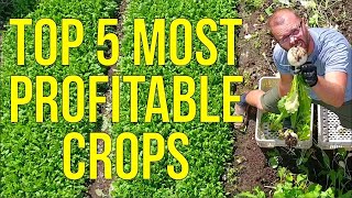 Unlock the Secret to Maximum Profits The Top 5 Most Lucrative Crops for Market Gardeners Revealed [upl. by Christan]