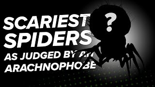 Worst Spiders In Games Ranked By An Arachnophobe  The Return [upl. by Hyps417]