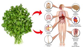 8 Best Health Benefits Of Cilantro  Health Benefits Of Eating Cilantro Leaves [upl. by Ligetti]