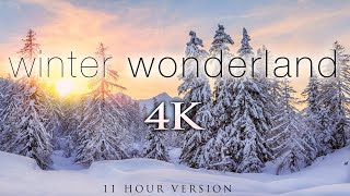 4K 11 Hours of Winter Wonderland  Calming Hang Drum Music for Relaxation Stress Relief UHD [upl. by Novaj357]