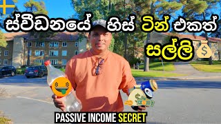 ස්වීඩනයේ හිස් ටින් එකත් සල්ලි  Earn Passive Income in Sweden with THIS Parttime Job [upl. by Akkahs]