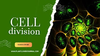 Cell Division The Secret of Life plant lover journal [upl. by Nostaw194]