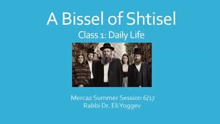 A Bissel of Shtisel pt 1  Daily Life [upl. by Eal]