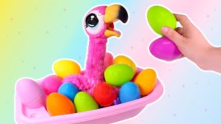 Baño de HUEVOS SORPRESA con el FLAMENCO 🌈🦩 Videos para niños [upl. by Aetnuahs819]