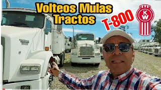 camiones en venta tractocamiones usados Kenworth t800 los mejores volteo mulas tractos precios [upl. by Eisus]