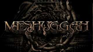 MESHUGGAH  Do Not Look Down OFFICIAL LYRIC VIDEO [upl. by Kerwinn]