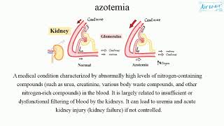 azotemia [upl. by Llewon]