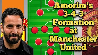 How Rúben Amorim could line up at Manchester United with the 343 formation manchesterunited mufc [upl. by Concoff256]