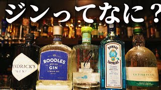 【10分でジンがわかる動画】知ってるようで知らないお酒！誕生の歴史から丁寧に解説します！ [upl. by Ytoc]