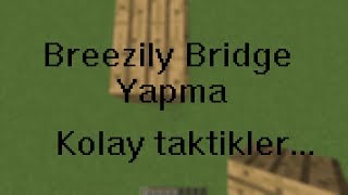 Minecraft Breezily Bridge için Bilinmesi gerekenler [upl. by Babbie]