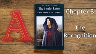 The Scarlet Letter by Nathaniel Hawthorne chapter 3  Audiobook [upl. by Adnaloj763]