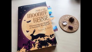 283 Path of the Moonlit Hedge  review [upl. by Ggerg]