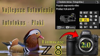 Najlepsze ustawienia Autofokus Nikon Z8  Fotografia przyrodnicza  ptaki birds wildlife nikon [upl. by Abisha319]