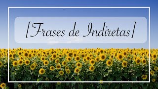 Frases de Indiretas [upl. by Rianna639]