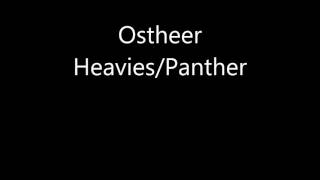 Company of Heroes 2 Voices Ostheer HeaviesPanther [upl. by Enahsed]