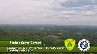 Stokes State Forest  Drone [upl. by Ocirled]