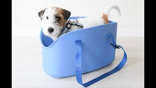 Carry your dog always with you thanks to Ferplast pet bag WITHME [upl. by Peih]