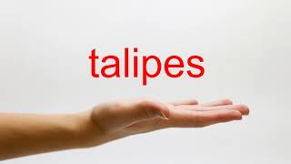 How to Pronounce talipes  American English [upl. by Bryant]