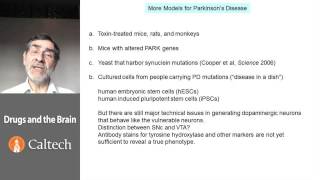 4 5 36 Parkinsons disease Pathophysiology non human models 1637 [upl. by Wrdna287]