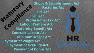 Statutory Compliance  Labour Law Compliance  HR Tutorials India  What is Statutory Compliance [upl. by Hsirahc988]