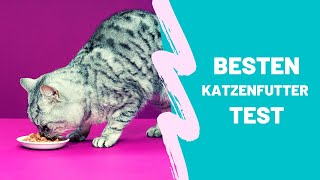 Die Besten Katzenfutter Test Top 5 [upl. by Seedman]