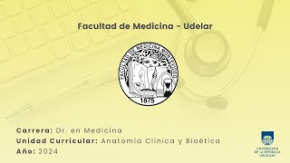 Práctico Mediastino anterior [upl. by Leventis]