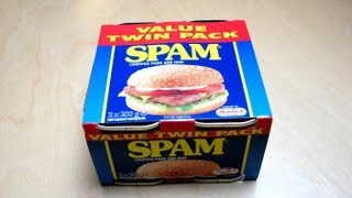 Spam amp Spamburger [upl. by Ramyar402]