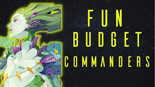 Fun Budget Commanders [upl. by Eeladnerb430]