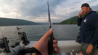 Rainbow Trout on Canandaigua lake with lead core [upl. by Cookie952]