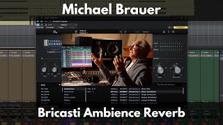 Michael Brauer Bricasti Ambience Reverb [upl. by Prudi]