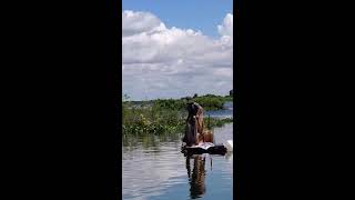 We Got A lot Of Fishes Today Casting Net Fishing In My village [upl. by Elysee]