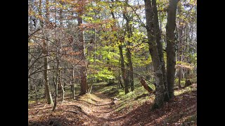 Auf zur Wanderung  los geht´s [upl. by Meriel]