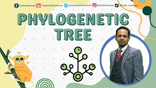 BIOLOGY KSSM FORM 5  PHYLOGENETIC TREE [upl. by Elyrpa927]